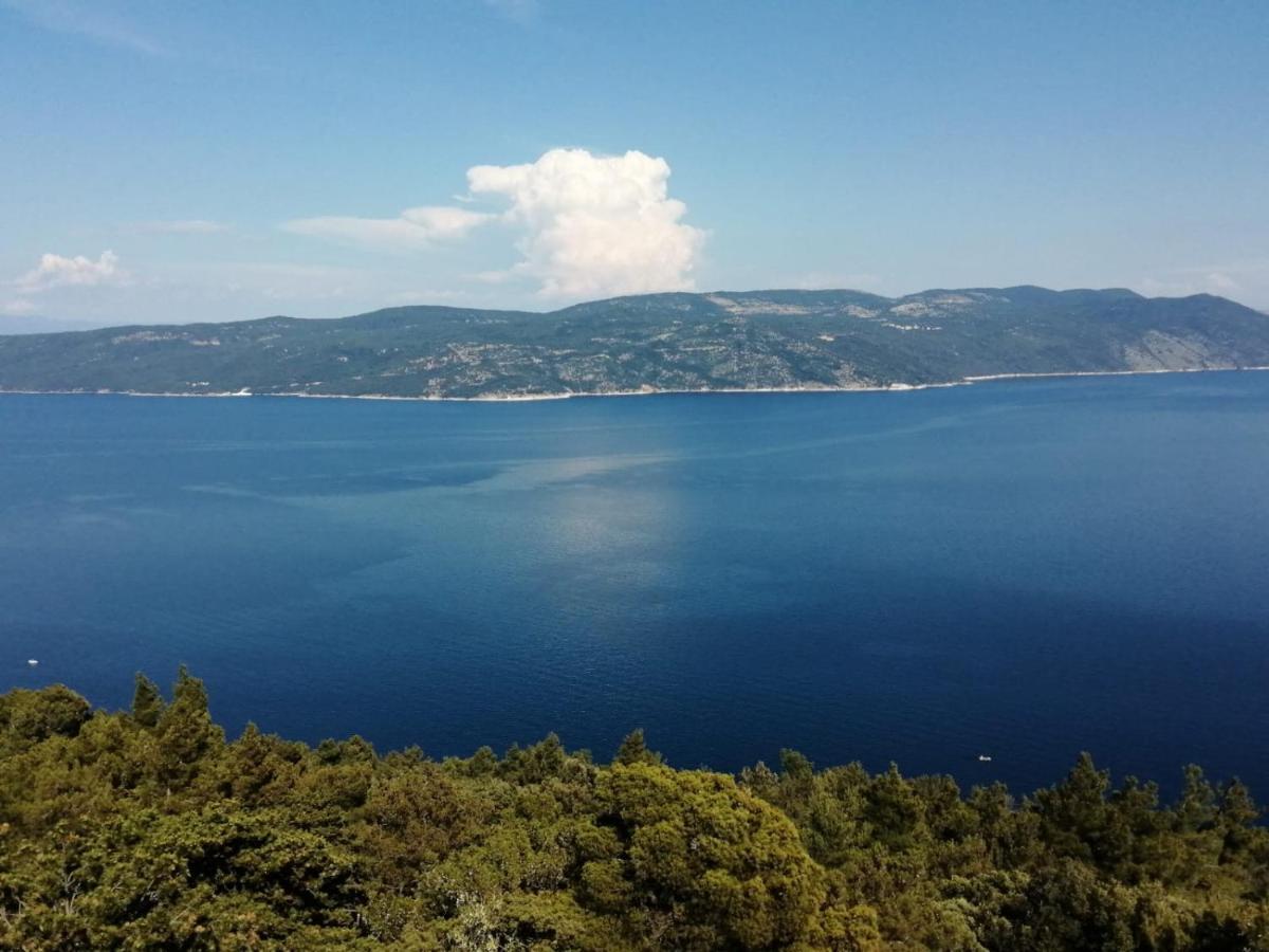 Apartament Diana *